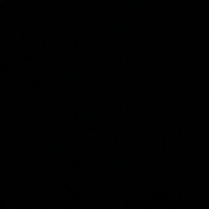 Meet your Posher, Reid